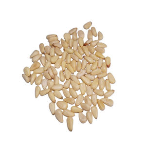 Nueces en cáscara Nueces de pino orgánicas Precio barato Orgánico Barato a granel Tuerca de pino abierta/Semilla de pino/Nueces de pino en cáscara - Product Image 2