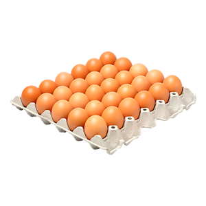 Huevos de Gallina Frescos de Granja, con Cáscara Marrón y Blanca, Estilo Brasileño, Origen - Product Image 4