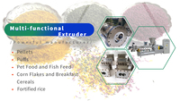Extrudeuse automatique de production de riz artificiel de nutrition populaire Riz enrichi de nutrition faisant la machine