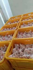 Pollo congelado de alta calidad Caja de carne de pollo fresca completa Embalaje Precios al por mayor Certificado Halal - Product Image 4