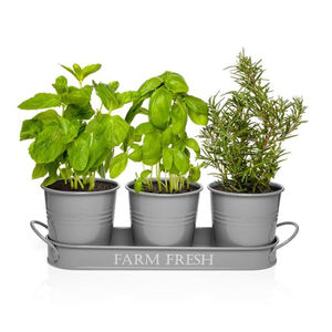 Jardinières décoratives rondes au design merveilleux en métal Jardinières pour plantes Pot lot de 3 avec plateau pour fournisseurs de gros - Product Image 5