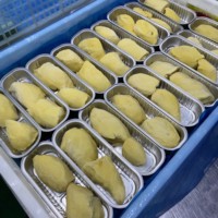 Khey TaladThai Onweerstaanbaar zoete biologische hele diepvriesdurian Monthong (LQF-proces vacuüm verpakt) 0,5 kg Thailand voor smoothies