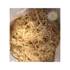 ALGAS SECAS DE ALGODÓN SECAS DE 99 DATOS DE ORO ALGAS SECAS DE ALTA CALIDAD PARA ALIMENTOS GRAN EXPORTACIÓN - Product Image 1