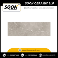 Carreaux muraux en céramique numérique les plus vendus 10x30 pouces, texture classique moderne antidérapante, résistante aux acides et antibactérienne, motifs floraux et végétaux