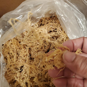 มอสทะเลแห้งป่าแท้ มอสไอริชอินทรีย์ในราคาที่ดีที่สุดและมีคุณภาพสูง - Product Image 3