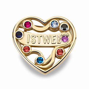 Año recuerdo diseño metal trabajo piedra preciosa Nivel Magnético personalizado carrera solapa PIN - Product Image 3
