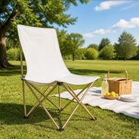 Chaise pliante robuste et durable, cadre en acier inoxydable, tissu Oxford, pour l'extérieur, le parc et les voyages