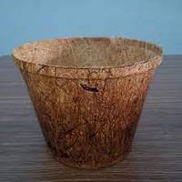 100% Pot de coco fibre de noix de coco plante cultiver Pot de fleur Vase pressé à chaud meilleure vente Pot de sol bleu Lotus 2024 Agriculture