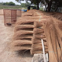 Approvisionnement direct de l'usine bâton de balai de feuille de noix de coco en gros bâtons de palmier nipah coco prêt à exporter