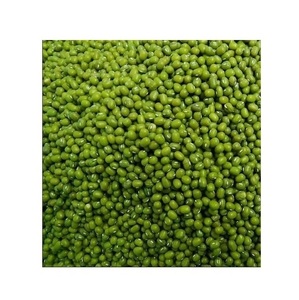 ราคาถูกสุดๆ ถั่วเขียว/ถั่วเขียวเม็ดเต็ม ขายส่งจำนวนมาก - Product Image 2