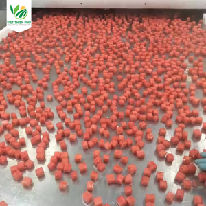 VIET THIEN PHU Sandía congelada IQF de alta calidad, conservada fresca a granel, VTP/366, hecha en Vietnam, Contacto + 84 381 295 - Product Image 5