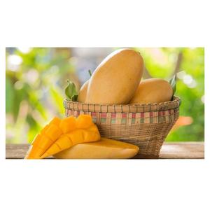 Mango Amarillo Fresco al por Mayor, Grado A, 12-16 cm, de Portugal - Product Image 3