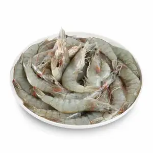 Crevettes vivantes congelées et séchées/Crevettes Vannamei congelées, achetez des fruits de mer congelés aux crevettes blanches 100%