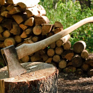 Arena para gatos, viga de madera de pino, construcción de madera maciza, tablero de pino resistente al agua, precios de construcción, ranura de madera, pino - Product Image 3