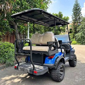 Carrito de Golf de Lujo 2024 al por Mayor, Carrito de Golf Usado de Gasolina de 4 a 6 Plazas en Venta - Product Image 4