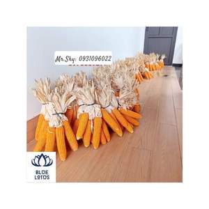 Decoración de maíz seco para el hogar, el maíz seco se utiliza para la decoración, el mejor producto de decoración de Vietnam, producto Blue Lotus - Product Image 3