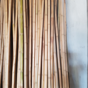 เสาไม้ไผ่สีเขียววัสดุไม้ไผ่สำหรับรั้วไม้ไผ่เป็นมิตรกับสิ่งแวดล้อม99GD คุณภาพสูง - Product Image 2