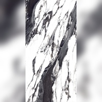 Panneaux de porcelaine vitrifiée polie Phoenix Rise Modern 600x1200mm, antibactériens, antidérapants, isolants thermiques pour extérieur