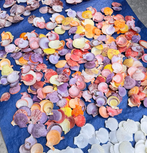 ภาพวาดเปลือกหอยทะเลที่ทำด้วยมือจากเวียดนามเหมาะสำหรับธีมเขตร้อนร้านอาหารโรงแรมและแนวคิดการตกแต่งบ้าน - Product Image 4