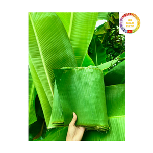 Feuilles de bananier vertes congelées, produit naturel du Vietnam, feuilles de bananier vertes de haute qualité, approvisionnement en gros pour l'emballage alimentaire - Product Image 4
