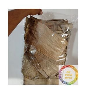 Approvisionnement en usine de feuilles de bananier séchées en gros produit biologique du Vietnam pour l'emballage de nourriture et d'utilisation pour animaux de compagnie - Product Image 2
