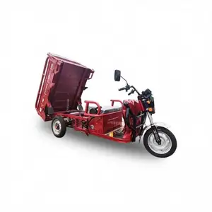 Hot Sale Good Quality 90KM Electric Pedicab Electr Trike Close From China