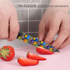 Cuchillo de Chef Personalizado al por Mayor, Hoja de Cerámica, Mango de Plástico, Diseño Ambidiestro para Deportes al Aire Libre, Alta Calidad, Envío Gratis - Product Image 6