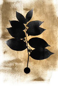 Made In Germany - Home Decor Canvas <b>Picture</b> Leaves Black Gold - Wall Mural In Cream And Gold - Canvas <b>Picture</b> On Stretcher <b>Frame</b> - Product Image 5