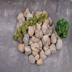 Meilleure Qualité Écologique Durable Moderne Forêt Tropicale Brun M Taille Pierre Naturelle Cailloux Intérieur Extérieur Jardin Décor Villa - Product Image 2