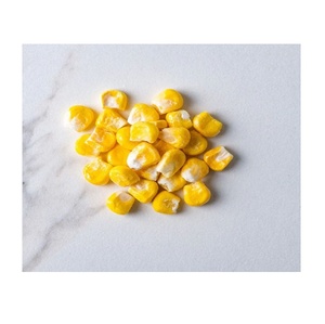 ซื้อข้าวโพดบดจำนวนมากในราคาขายส่งเหมาะสำหรับงานกิจกรรมทางธุรกิจและร้านค้าปลีกข้าวโพดคั่ววันนี้ - Product Image 6