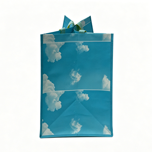 Cloud Print PP Non-Woven Shopping <b>Bag</b> <b>Medium</b> Size Hand Length Handle Daily Use Vietnam Made Blue Yellow Handles - Product Image 3