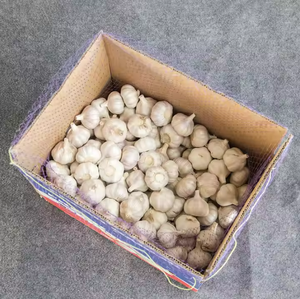 Ail frais du Vietnam de qualité supérieure - Marque TINIMEX Saveur naturelle Fournisseur en gros en vrac de Hai Duong - Product Image 3