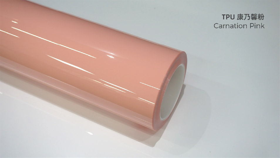 สีชมพูดอกคาร์เนชั่น TPU