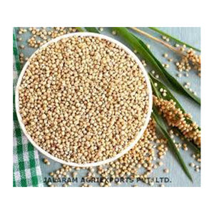 Graines de sorgho jaune de qualité Vente en gros Fabricant haut Nouveau meilleur matériel Avec des tarifs bon marché - Product Image 6