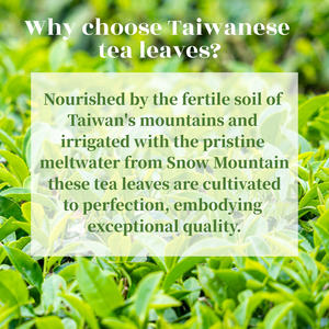 ชาอูหลงออร์แกนิกจากไต้หวันคั่วถ่านบรรจุในกล่องรสธรรมชาติสำหรับดื่มและผสมชาเพื่อสุขภาพและลดไขมัน - Product Image 6