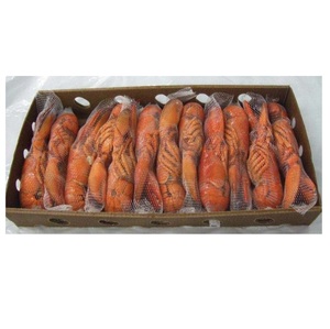 กุ้งมังกรอเมริกันคุณภาพสูง สด/แช่แข็ง ขายในราคาขายส่งที่ถูกที่สุด - Product Image 3