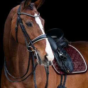 Tapis de Selle de Dressage Garni de Cristal de Luxe Couleurs Personnalisées et Broderie pour Spectacle Tapis de Selle - Product Image 4