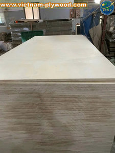 Contrachapado Decorativo de Abedul para Diseno Interior, Paneles de Pared y Techos Proveedor de Vietnam | Contreplaqué de bouleau Vietnam - Product Image 4