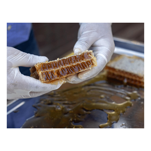 Top Products Hot Selling Honeycomb Cake from 99 Gold Data In Vietnam with Premium Quality Raw Honey Wax <b>Sweet</b> Dessert - Product Image 6