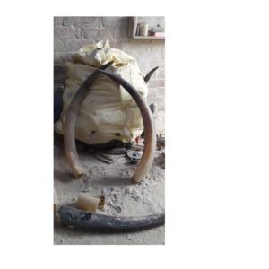 โบราณควายคู่ฮอร์นขายดีที่สุดคู่ฮอร์นสำหรับขนาดที่กำหนดเองบัฟฟาโลตกแต่งฮอร์นด้วยขัด - Product Image 4