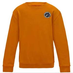Venta al por mayor de sudaderas personalizadas de algodón de color sólido para hombre de gran tamaño de alta calidad pulóver sudadera Lisa sudadera - Product Image 1