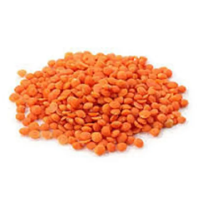 Harga pabrik terbaik dari lentil merah Kanada organik alami/lentil merah terpisah tersedia dalam jumlah besar
