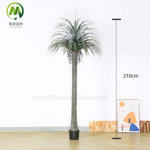Árbol de sangre de dragón verde, planta <span class=keywords><strong>Tropical</strong></span> Artificial, sala de estar interior, decoración en maceta de plástico, árbol de imitación de interior duradero - Product Image 6