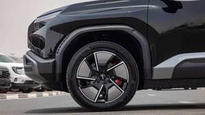 Leo Pard TITANIUM 3 EV 4WD 2025-2026 con Autonomía de 501-600 km y Potencia de 300 KW para Importación en Japón - Product Image 5