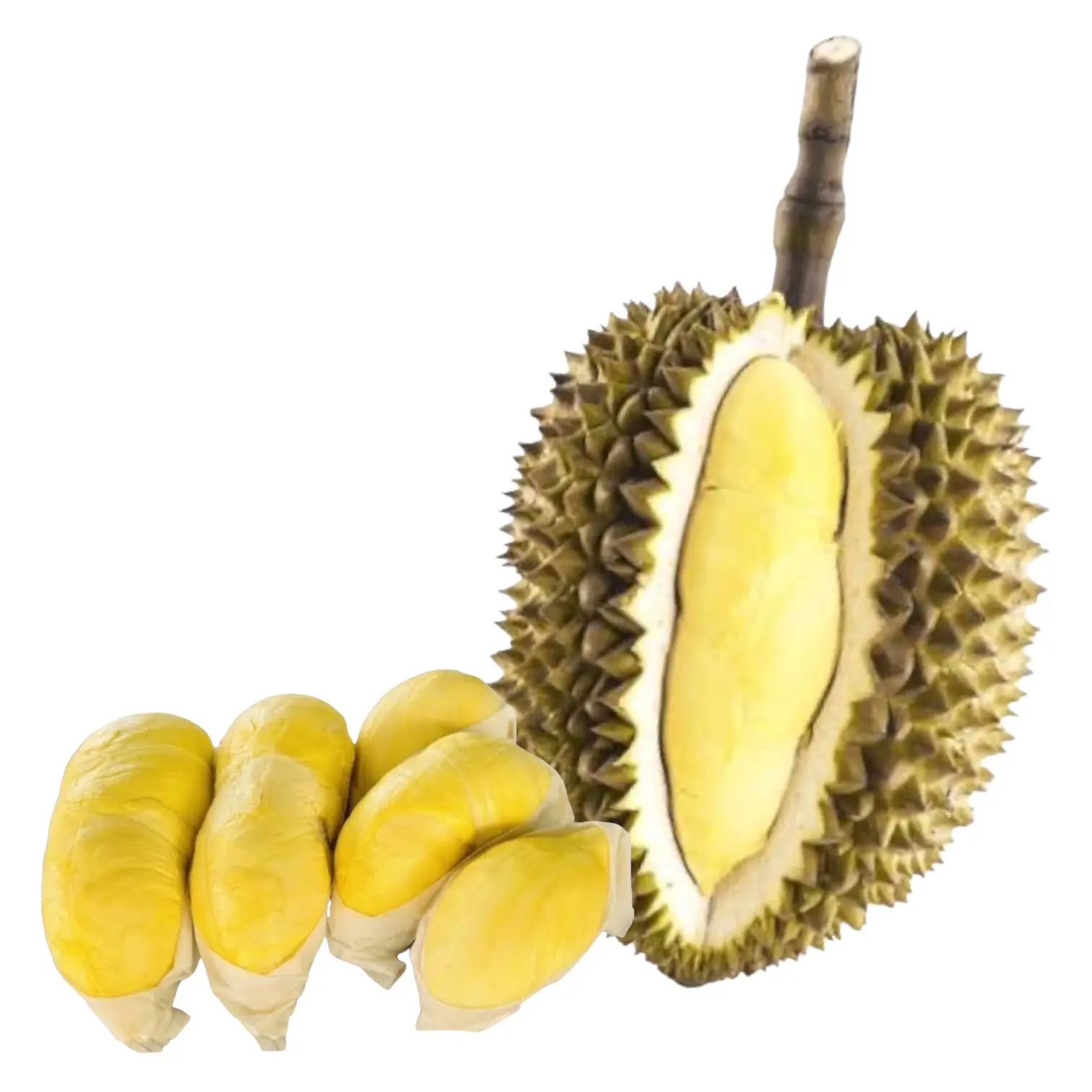 Sweet Fresh Durians Monthong from Thailand Fresh Durian Fruit for sale Small Seed Durian Fruit Export Grade Pack 500g