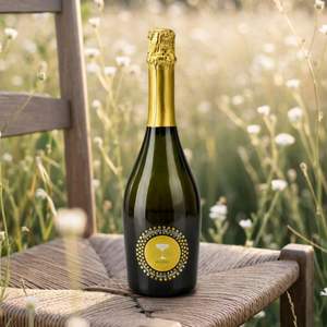 Burbujas de Uvas, Jugo de Uva Blanca Espumoso 100% Airen, 0.0% ABV, Jugo de Uva Espumoso Español, 750 ml - Product Image 3