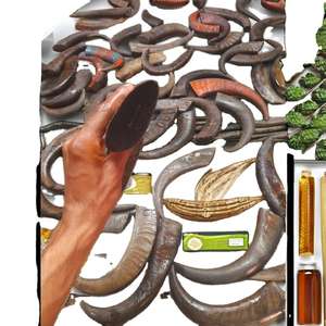 Puntas de Cuerno de Búfalo Natural de Alta Calidad, Crudas, Blancas y Marrones, Ecológicas, Hechas a Mano, Decoración Moderna de Estilo Animal, Navidad - Product Image 1