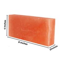 Briques de sel rose de l'Himalaya pour salles de sauna au sel et panneau mural de spa 20*10*2 cm briques de carreaux de sel de l'Himalaya
