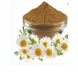 Poudre de Camomille Apaisante pour la Peau, Soin des Cheveux, Poudre de Fleur de Babuna, Poudre de Fleur de Camomille Botanique - Product Image 3