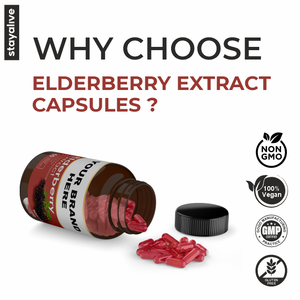 แคปซูลสารสกัดจาก Sambucus Elderberry บริการ OEM/ODM | ผลิตภัณฑ์เสริมอาหาร (60,90,120แคปซูล) - Product Image 4